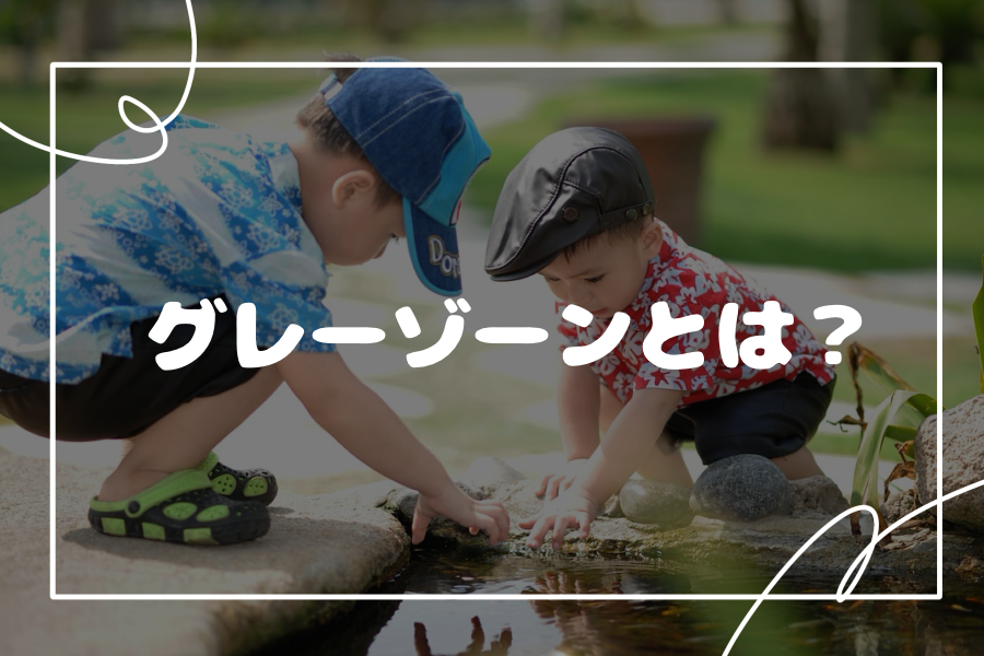 グレーゾーンとは